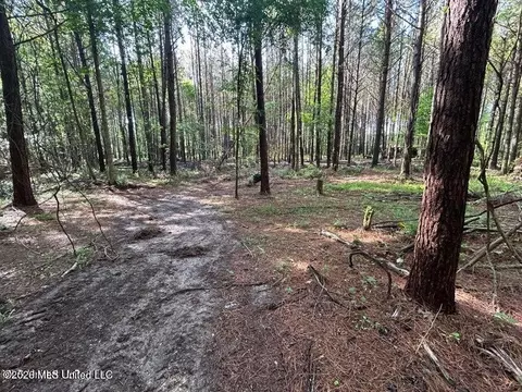 Attala Rd 2247, Ethel, MS 39067 photo 5