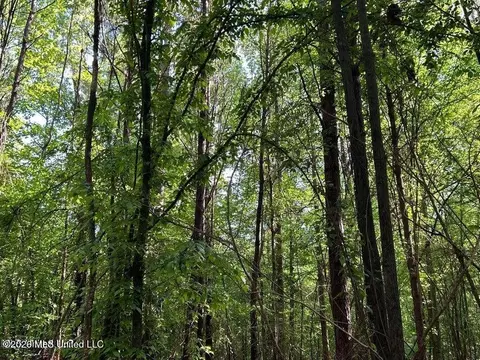 Attala Rd 2247, Ethel, MS 39067 photo 3