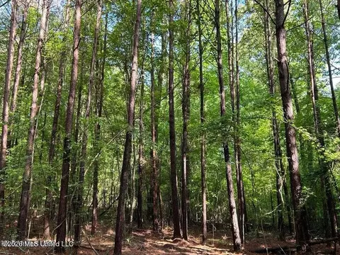 Attala Rd 2247, Ethel, MS 39067 photo 4