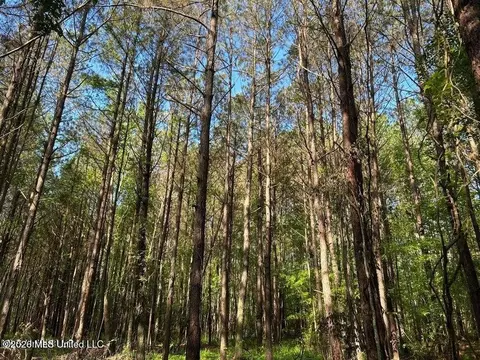 Attala Rd 2247, Ethel, MS 39067 photo 6