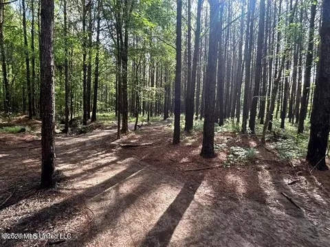 Attala Rd 2247, Ethel, MS 39067 photo 7