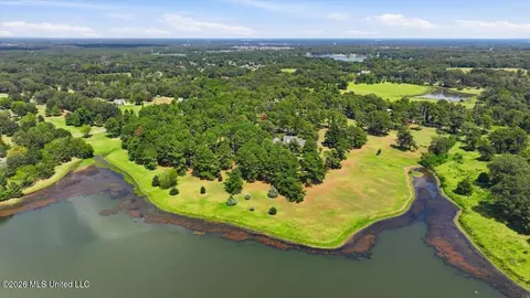View/Area - 1039 Cedar Hill Rd, Madison, MS 39110 photo 9 of 21