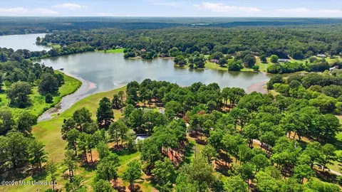 View/Area - 1039 Cedar Hill Rd, Madison, MS 39110 photo 16 of 21