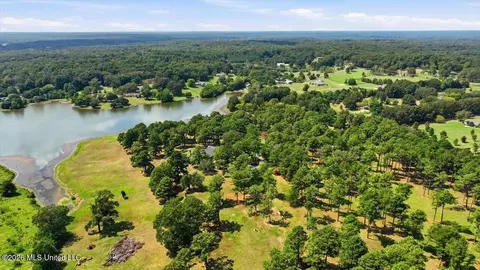 View/Area - 1039 Cedar Hill Rd, Madison, MS 39110 photo 7 of 21