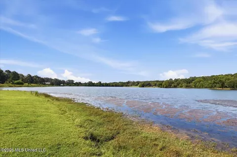 View/Area - 1039 Cedar Hill Rd, Madison, MS 39110 photo 6 of 21