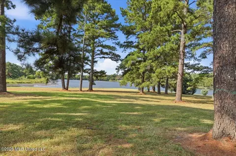 View/Area - 1039 Cedar Hill Rd, Madison, MS 39110 photo 3 of 21