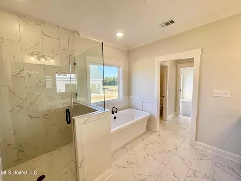 Bath - 2484 Saint Ives Ln, Hernando, MS 38632 photo 3 of 5