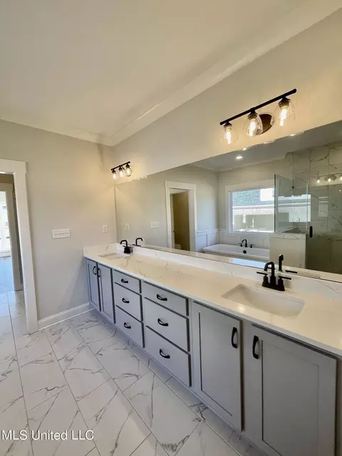 Bath - 2484 Saint Ives Ln, Hernando, MS 38632 photo 2 of 5