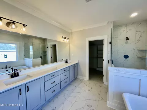 Bath - 2484 Saint Ives Ln, Hernando, MS 38632 photo 1 of 5