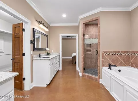 Bath - 166 Stratford Dr, Brandon, MS 39042 photo 2 of 5
