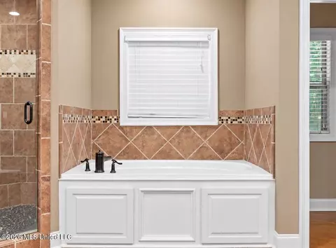 Bath - 166 Stratford Dr, Brandon, MS 39042 photo 3 of 5