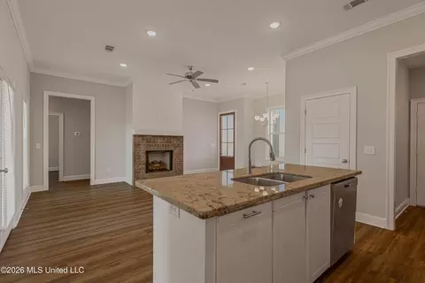 Other - 203 Silver Maple Pl, Canton, MS 39046 photo 4 of 10