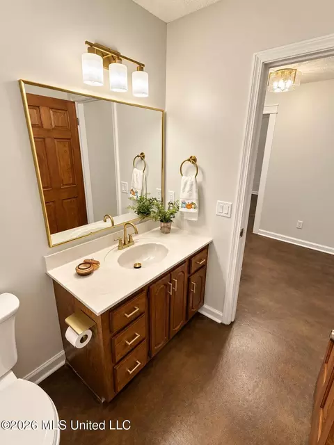 Bath - 3461 Amy Dr, Nesbit, MS 38651 photo 3 of 6