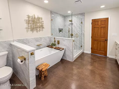 Bath - 3461 Amy Dr, Nesbit, MS 38651 photo 1 of 6