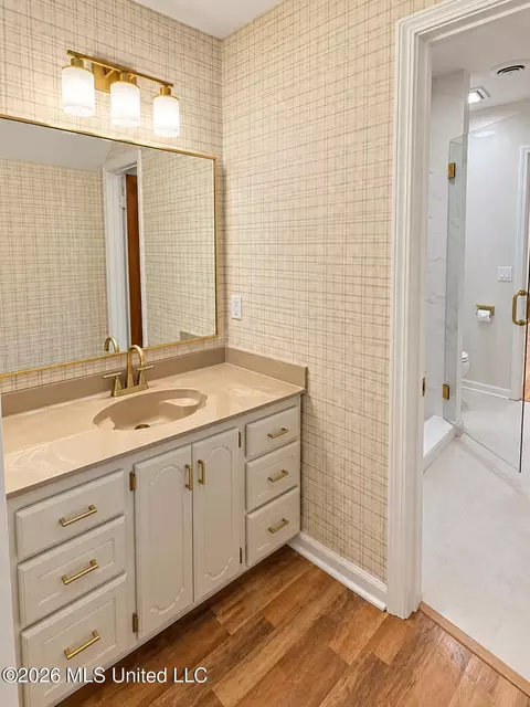 Bath - 3461 Amy Dr, Nesbit, MS 38651 photo 4 of 6