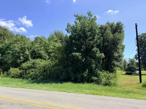 2 Acres Ellis Hamilton Rd, Moss Point, MS 39562 photo 5