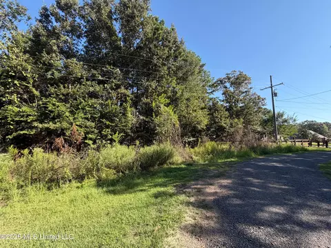 132 Alex Seals Ln, Brandon, MS 39042 photo 4