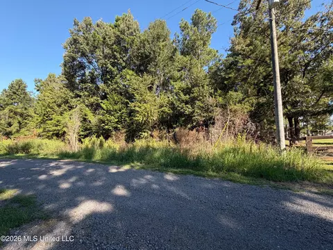 132 Alex Seals Ln, Brandon, MS 39042 photo 2