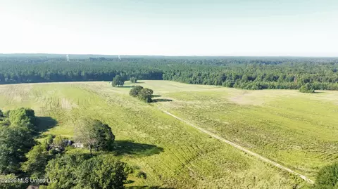 132 Collins Rd, Florence, MS 39073 photo 13