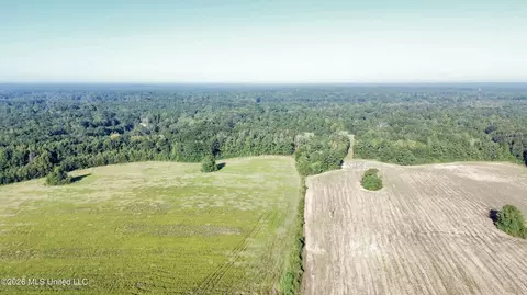 132 Collins Rd, Florence, MS 39073 photo 23