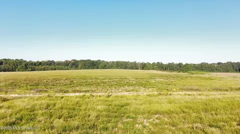132 Collins Rd, Florence, MS 39073 photo 9