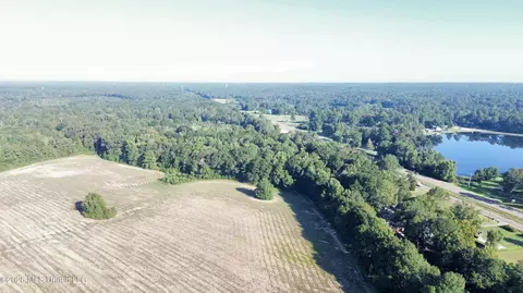 132 Collins Rd, Florence, MS 39073 photo 21