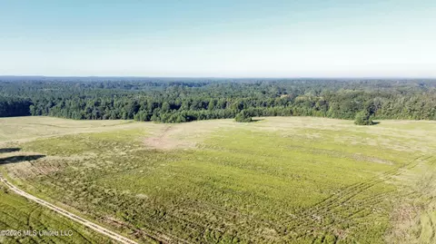 132 Collins Rd, Florence, MS 39073 photo 18