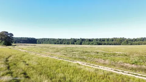 132 Collins Rd, Florence, MS 39073 photo 6