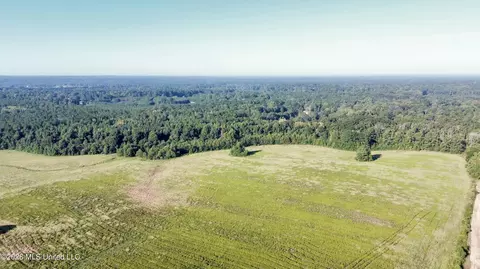132 Collins Rd, Florence, MS 39073 photo 24