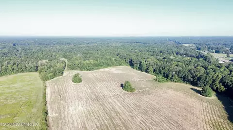 132 Collins Rd, Florence, MS 39073 photo 22