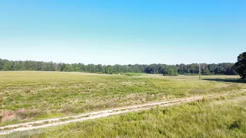 132 Collins Rd, Florence, MS 39073 photo 4