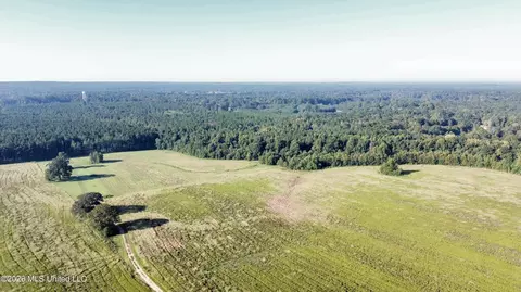 132 Collins Rd, Florence, MS 39073 photo 25