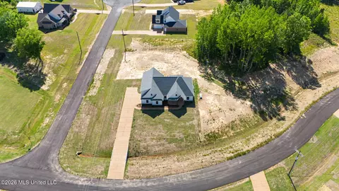 View/Area - 4677 Taylor Trl, Hernando, MS 38632 photo 2 of 3