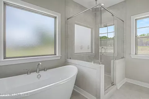 Bath - 4677 Taylor Trl, Hernando, MS 38632 photo 2 of 4