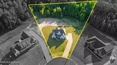 View/Area - 9065 Bennett Trl, Hernando, MS 38632 photo 3 of 3