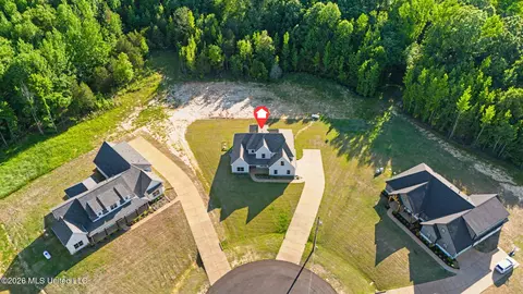 View/Area - 9065 Bennett Trl, Hernando, MS 38632 photo 2 of 3