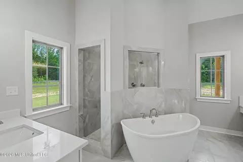 Bath - 9065 Bennett Trl, Hernando, MS 38632 photo 1 of 5