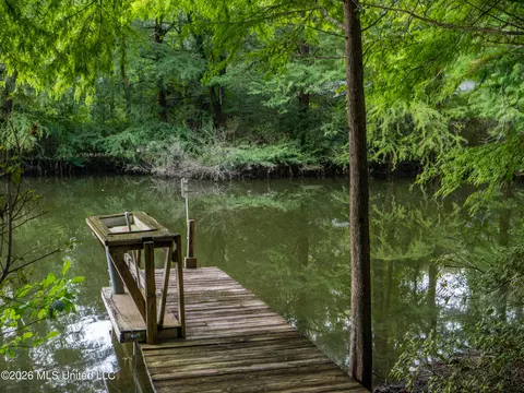 Other - 290 Hickory Hills Loop, Purvis, MS 39475 photo 5 of 13
