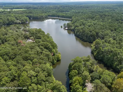 View/Area - 290 Hickory Hills Loop, Purvis, MS 39475 photo 2 of 2