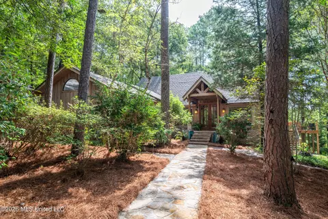 Other - 290 Hickory Hills Loop, Purvis, MS 39475 photo 2 of 13