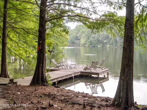 Other - 290 Hickory Hills Loop, Purvis, MS 39475 photo 6 of 13