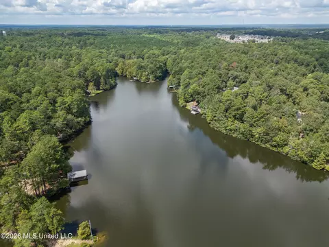 View/Area - 290 Hickory Hills Loop, Purvis, MS 39475 photo 1 of 2