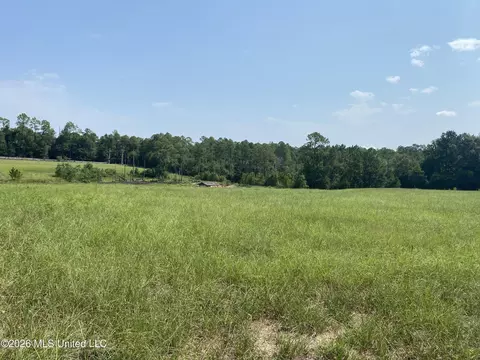 Oak Drive, Perkinston, MS 39573 photo 2