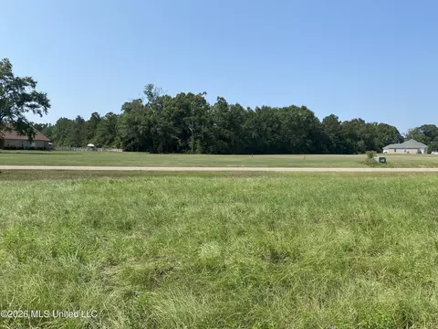 Oak Drive, Perkinston, MS 39573 photo 3
