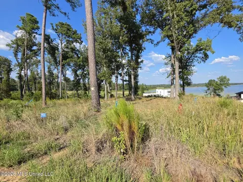 123 Neptune Shr, Canton, MS 39046 photo 3
