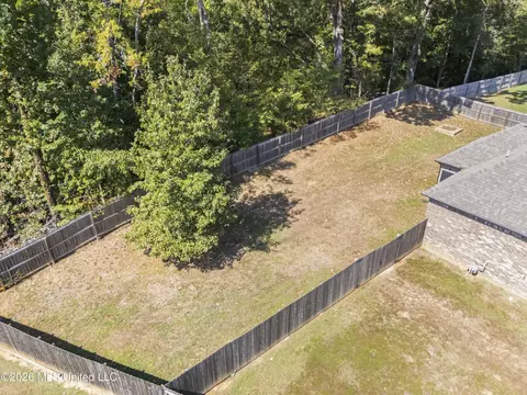 View/Area - 3629 Williams Brooke Ln, Hernando, MS 38632 photo 1 of 4