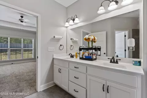 Entry Way - 3629 Williams Brooke Ln, Hernando, MS 38632 photo 3 of 5