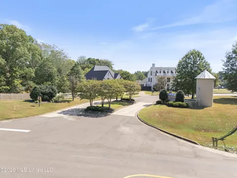 Exterior - 3629 Williams Brooke Ln, Hernando, MS 38632 photo 8 of 8