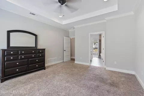 Other - 3629 Williams Brooke Ln, Hernando, MS 38632 photo 6 of 10