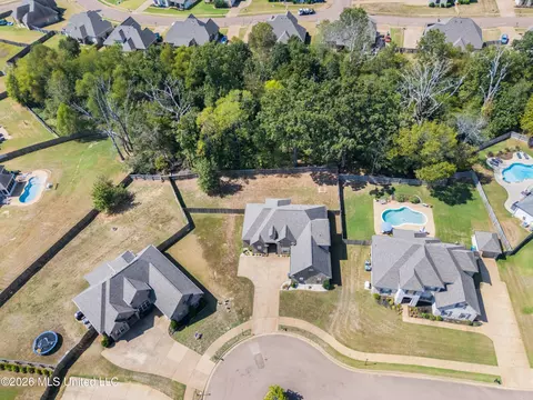 View/Area - 3629 Williams Brooke Ln, Hernando, MS 38632 photo 3 of 4
